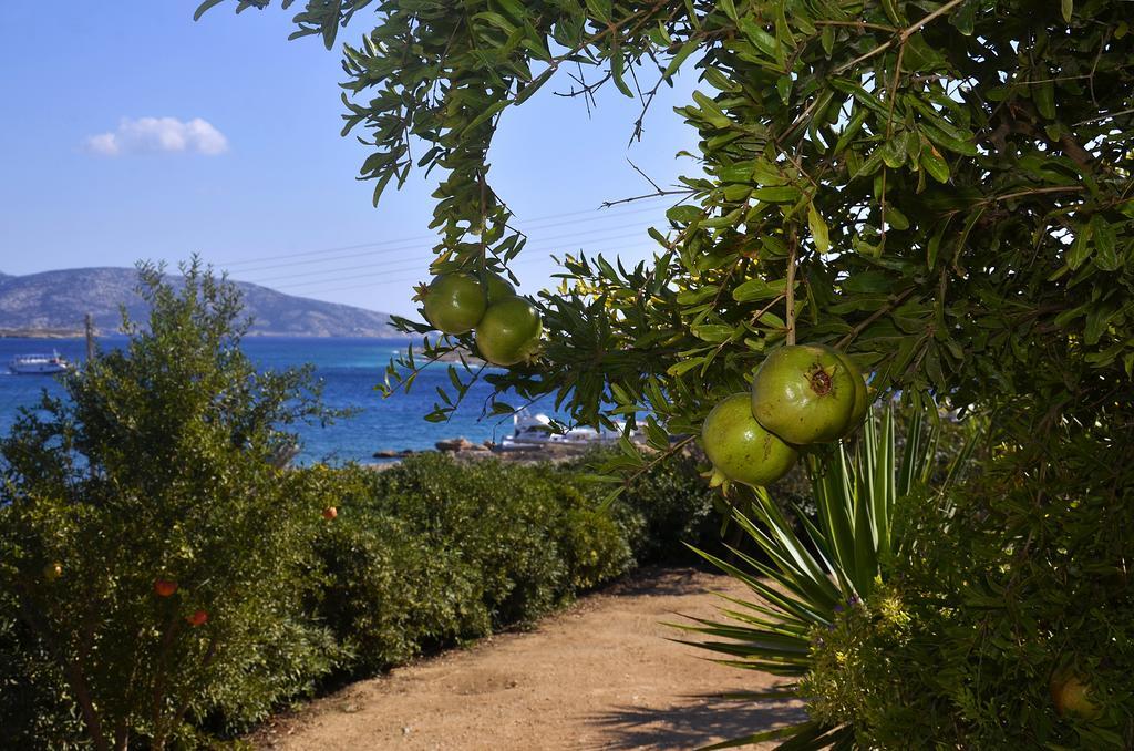 Onar Studios Koufonisia Bagian luar foto